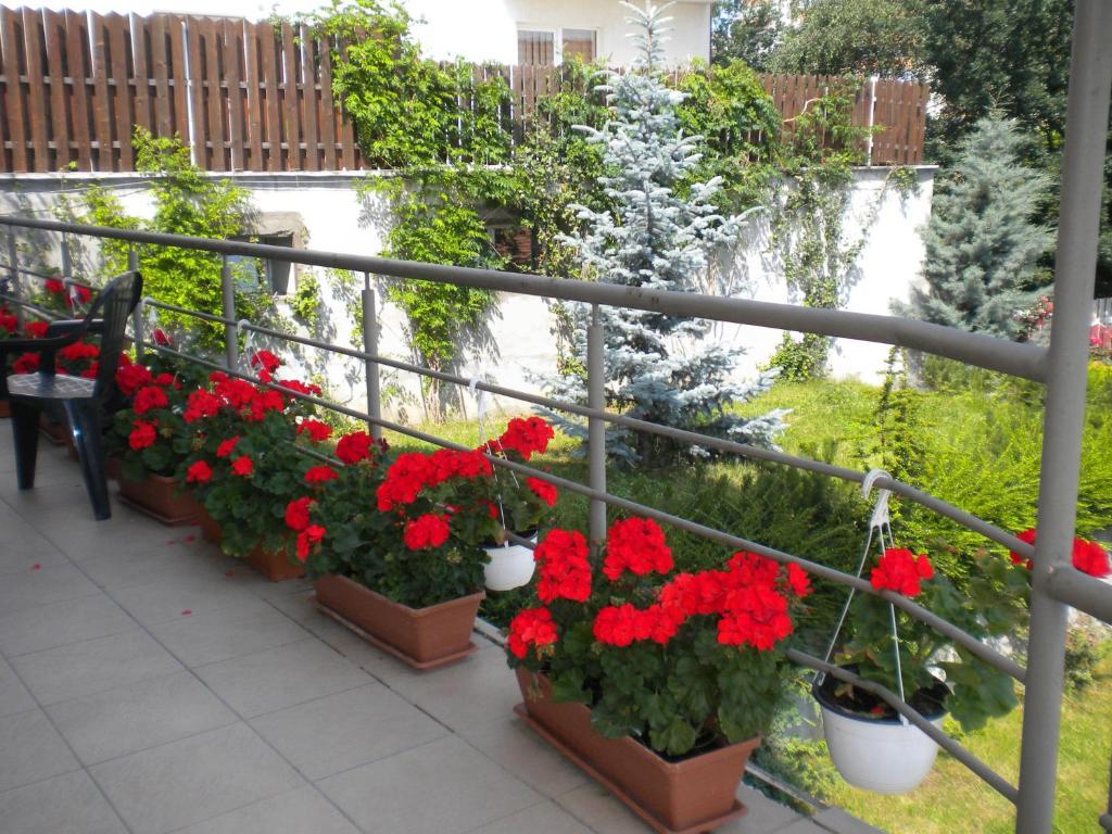 Pension Cluj Экстерьер фото